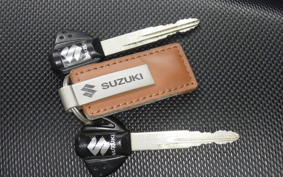 SUZUKI GSX-R250