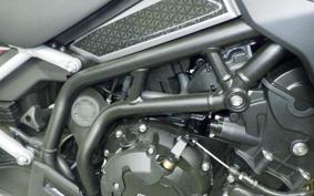 TRIUMPH TIGER 900 GT 2026