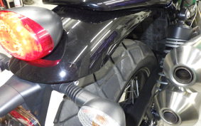 TRIUMPH SCRAMBLER 900 2023