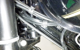 KAWASAKI W800 CAFE 2023 EJ800E