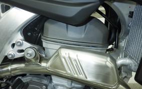 TRIUMPH TF250-X