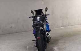 KAWASAKI NINJA 1000 2021 ZXT00L