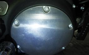 HARLEY XL883N 2016