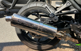 KAWASAKI NINJA 250R EX250K