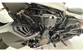 HARLEY Sportster S 2022 ZC4