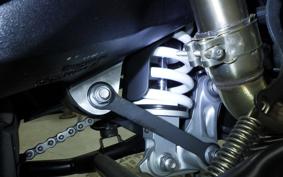 TRIUMPH TIGER 800 2019