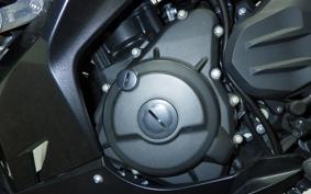 KAWASAKI NINJA 250 EX250P