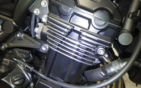 KAWASAKI Z900RS CAFE 2025 ZR900K