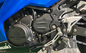 KAWASAKI NINJA 250 EX250P