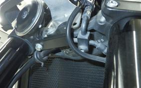 KAWASAKI Z900RS 2021 ZR900C