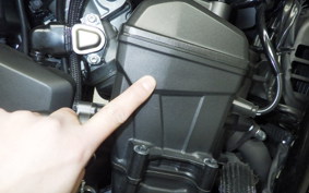 HONDA REBEL 1100 DCT 2022 SC83