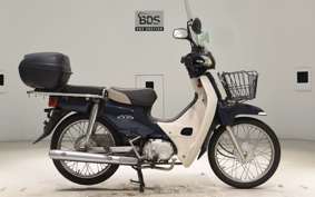 HONDA C110 SUPER CUB 2008 JA10