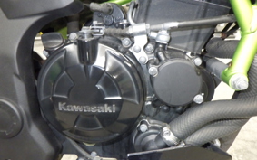 KAWASAKI Z250 SL BR250E