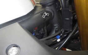 YAMAHA YZF-R3 2022 RH21J