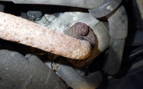 YAMAHA JOG Gen.5 SA36J