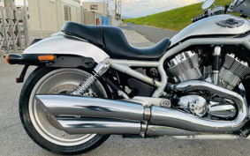 HARLEY VRSCA 2003 HAZ