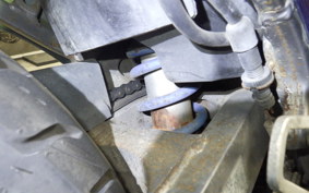 HONDA VTZ250 2024 MC15