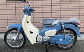 HONDA  SUPER CUB 50 FINAL  EDITION  AA09