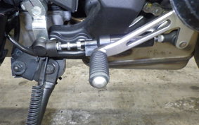 KAWASAKI NINJA 1000SX 2024 ZXT02K