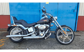 HARLEY FXSTC1340 2010 JL5