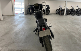 HARLEY HARLEY FXST1340-1450 2020 BVJ