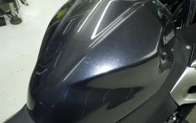 KAWASAKI NINJA 250 EX250P