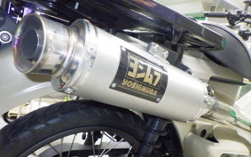 HONDA CT125 HUNTER CUB 2022 JA55