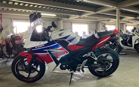HONDA CBR250R MC41