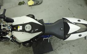 BMW HP2 SPORT 2009