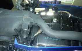 SUZUKI ｼﾞｸｻｰ250SF 2016