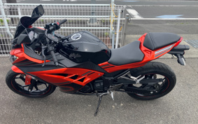 KAWASAKI NINJA 250R SPECIAL EDITION EX250L
