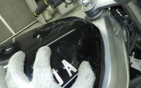 HONDA VT250 SPADA 2009 MC20