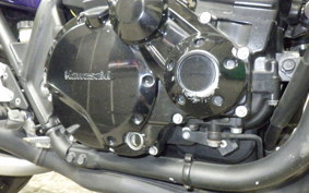 KAWASAKI ZRX1200 D 2009 ZRT20D