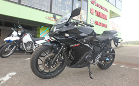 SUZUKI GSX250 R DN11A