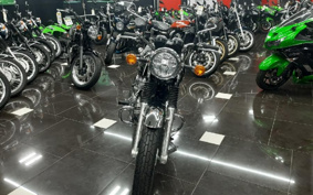 KAWASAKI W800 2022 EJ800E