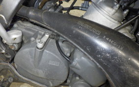 SUZUKI RMX250 S Gen.2 2013 SJ14A