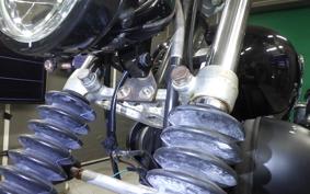 YAMAHA VIRAGO 250 TRIKE 2026 3DM