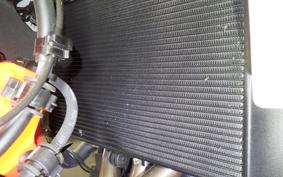 YAMAHA XSR900 GP 2024 RN96J