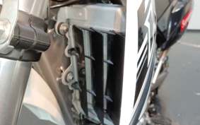 KAWASAKI KLX250 LX250S