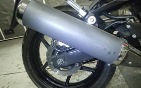 KAWASAKI NINJA 250R EX250K