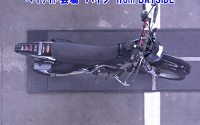 KAWASAKI KLX250 ES Type