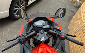 KAWASAKI NINJA 250 EX250L