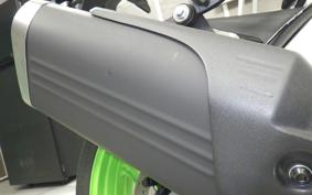 KAWASAKI NINJA ZX-6R A 2025 ZX636J