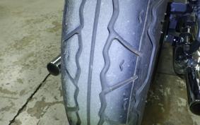 KAWASAKI W800 2021 EJ800B