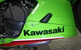 KAWASAKI NINJA 400 2024 EX400L