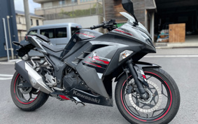 KAWASAKI NINJA 250 ABS SE EX250L