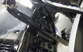 HARLEY FXLRST1920 2026