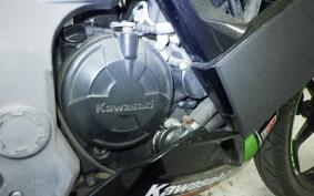 KAWASAKI NINJA 250 SL BX250A