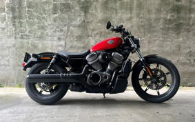 HARLEY  HARLEY RH975 NIGHT  STAR  2024 ZH1