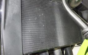 KAWASAKI ZRX1200 D 2017 ZRT20D